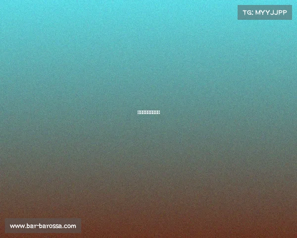 全国女排赛事有哪些